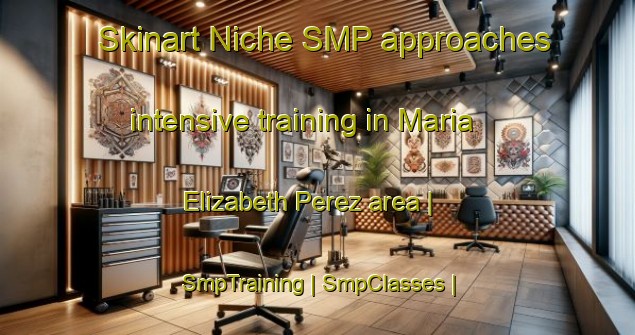 Skinart Niche SMP approaches intensive training in Maria Elizabeth Perez area | SmpTraining | SmpClasses | SkinartTraining-Mexico